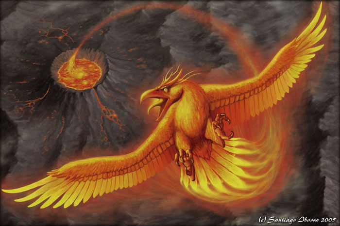 phoenix+%25283%2529.jpg
