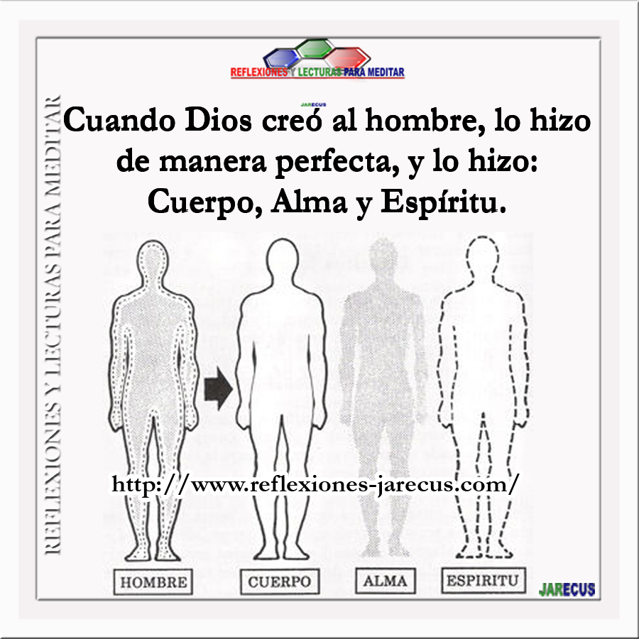 Contenedor de almas: Diferentes posturas con respecto a la composición