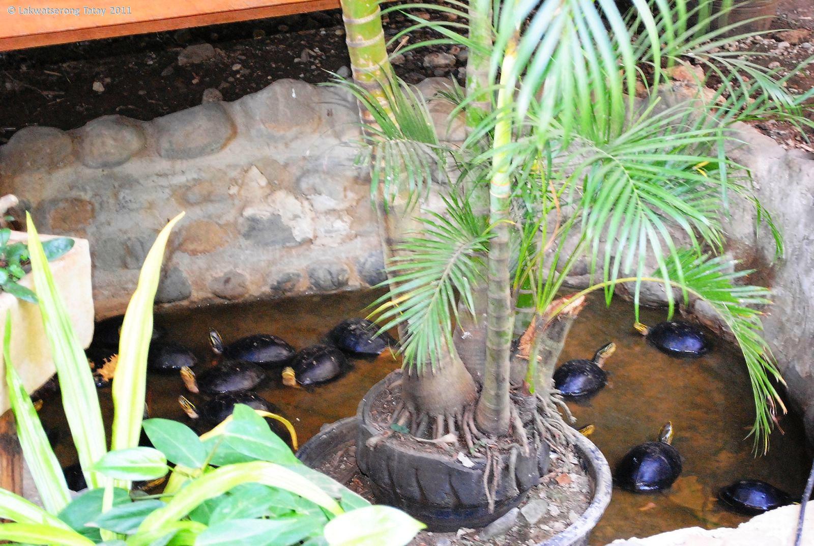 Meet the Xplorers Balinsasayaw Chicken Grill and Restaurant