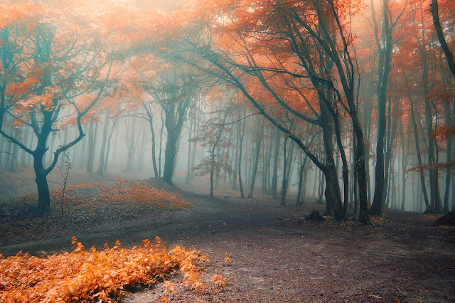spooky hollow lane spooky