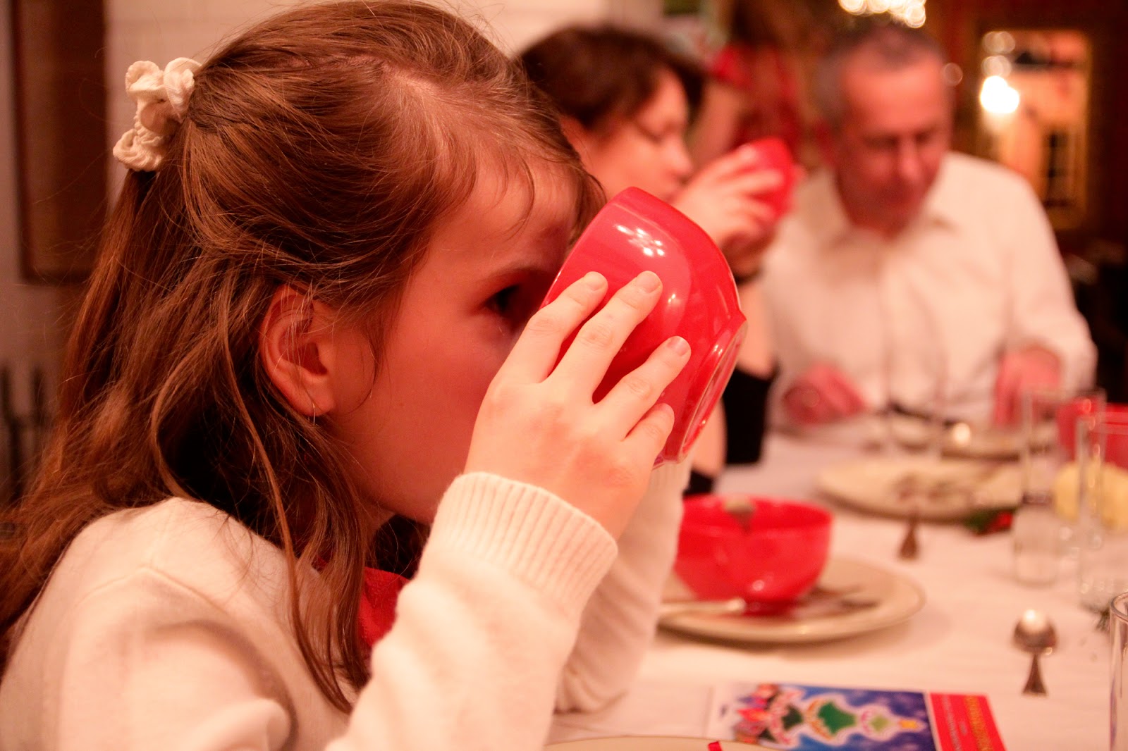 Gwiazdka w Puszczy - Ania w Podróży