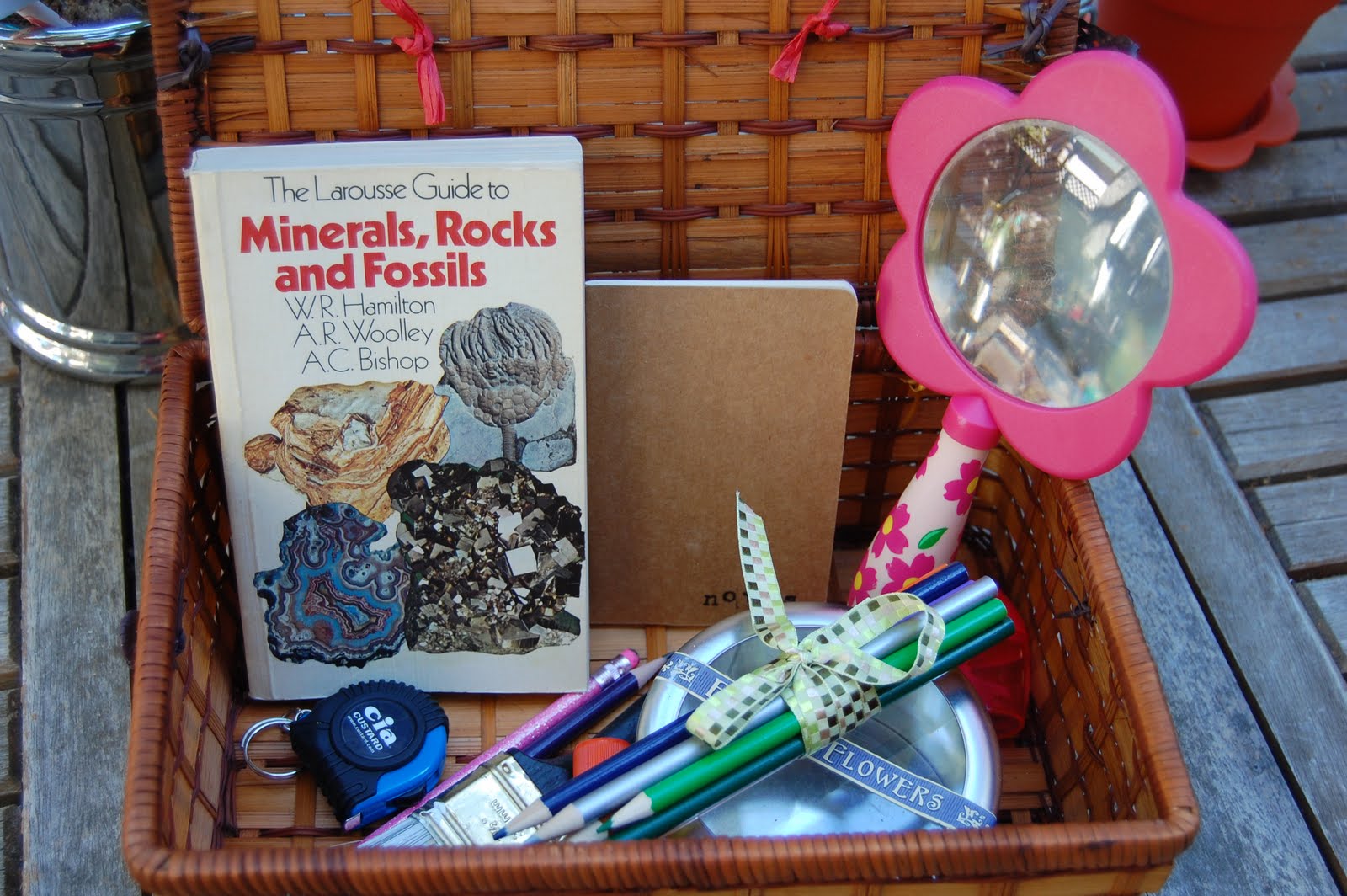 Live Your Art Geology Learning Kit