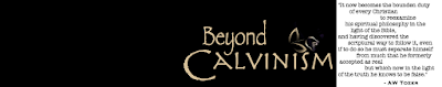 Beyond Calvinism
