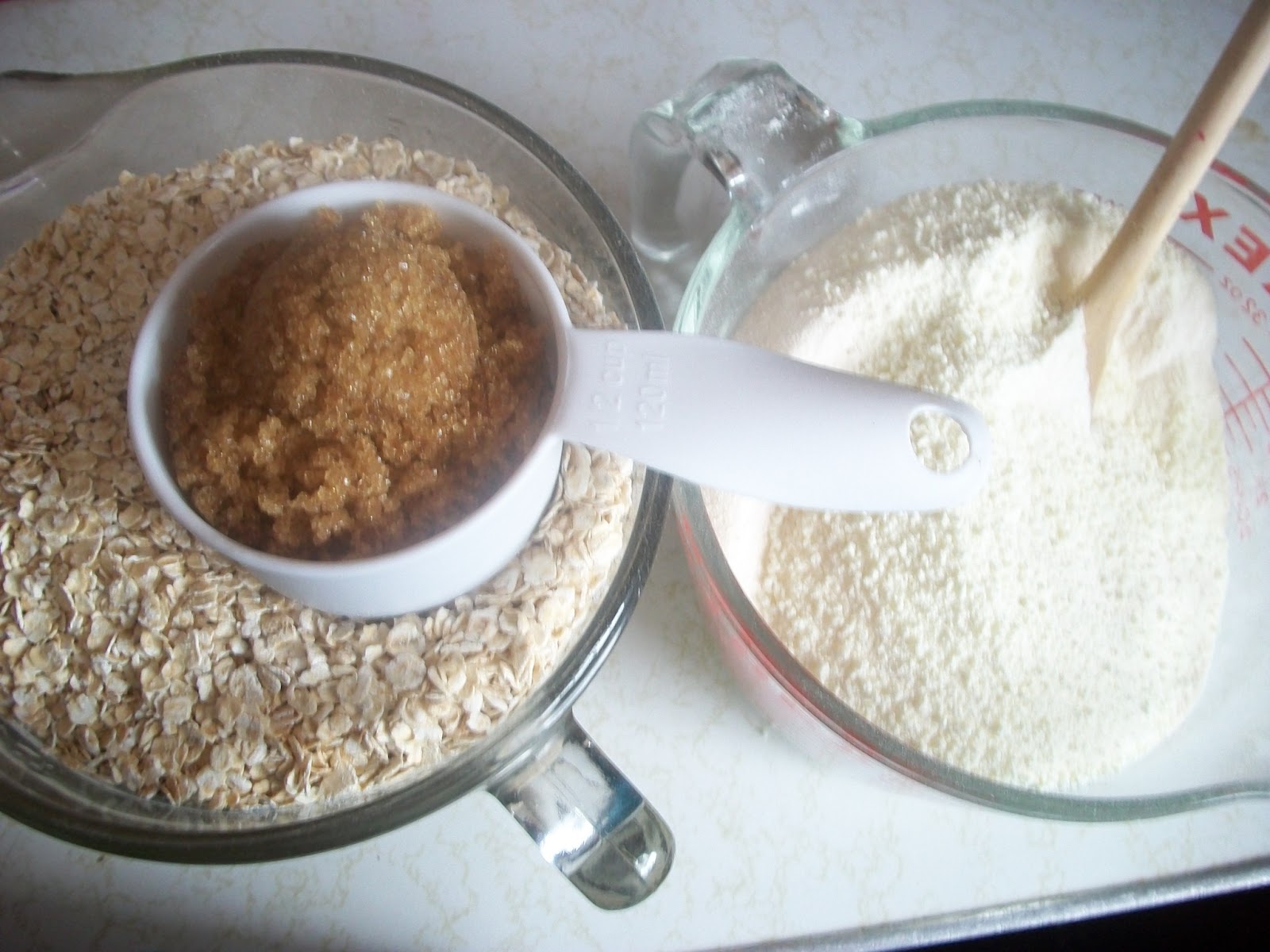 31 Cups Camping Oatmeal Mix