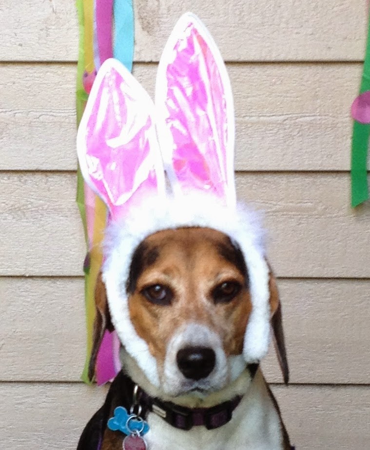 Life With Beagle Easter Beagle and the dog's place in biblical history