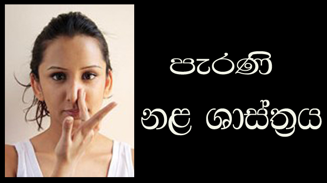 පැරැන්නන් භාවිතා කළ නළ ශාස්ත්‍රය.