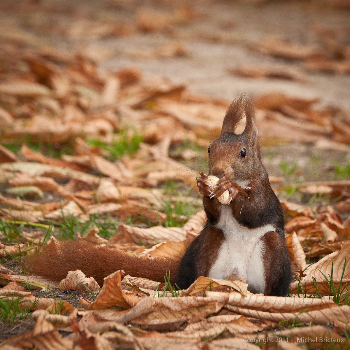 Autumn in Madrid