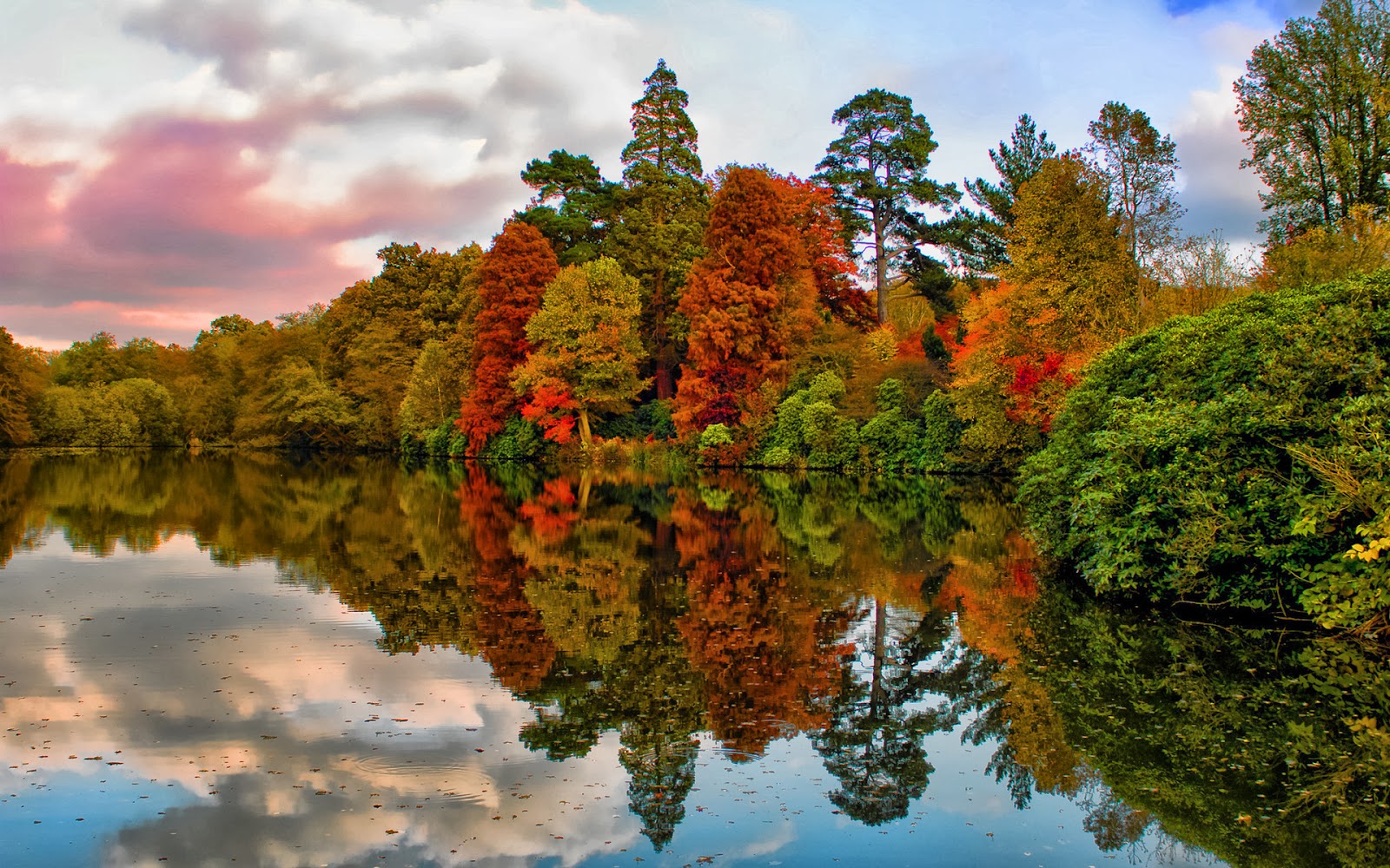 اجمل صور الاشجار فى العالم 2014 | تحميل صور