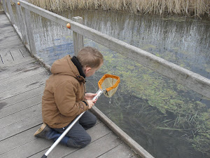 Newport Wetlands