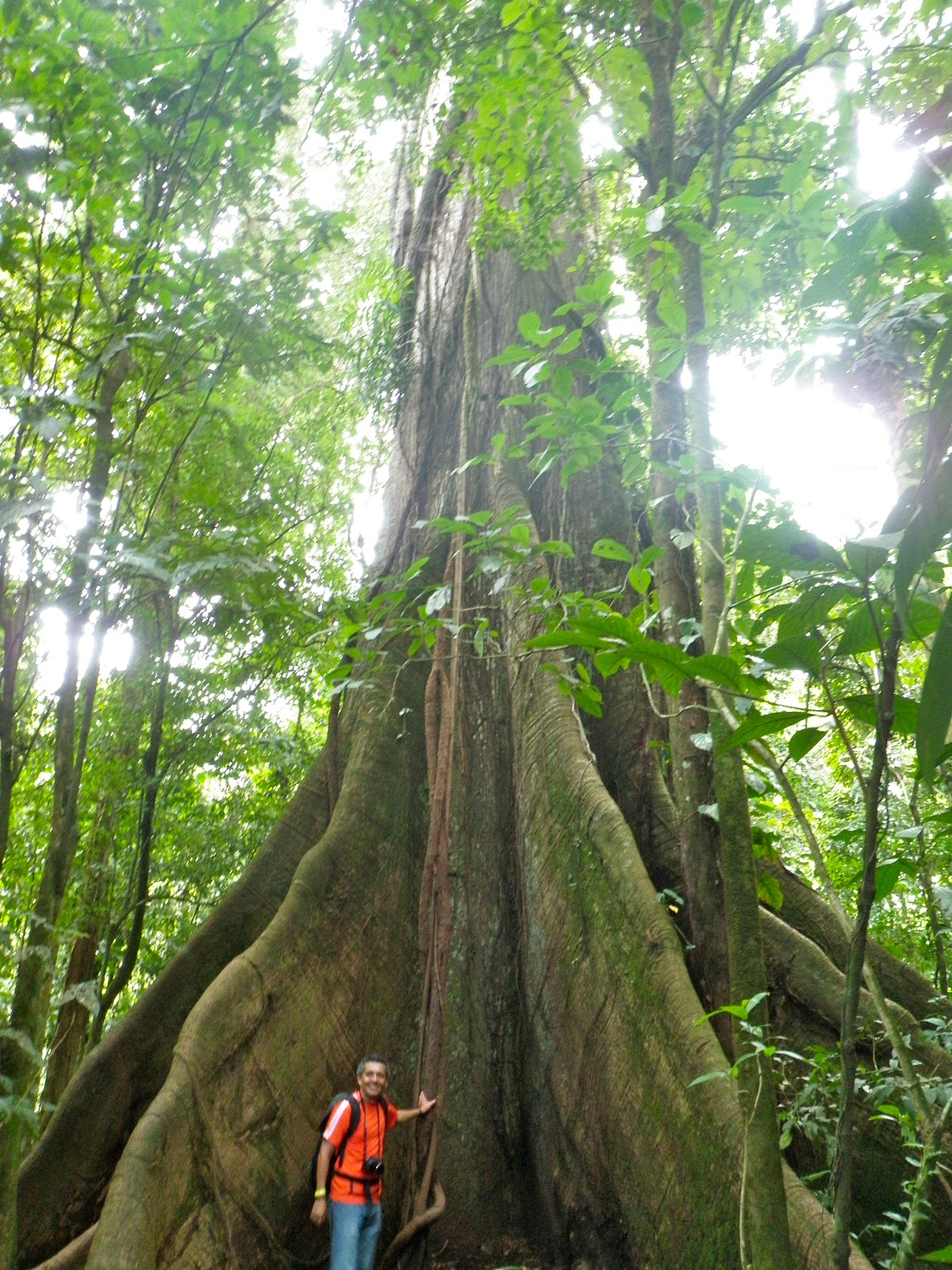 A Costa Rican Semester 15 weeks of learning and exploring in Costa