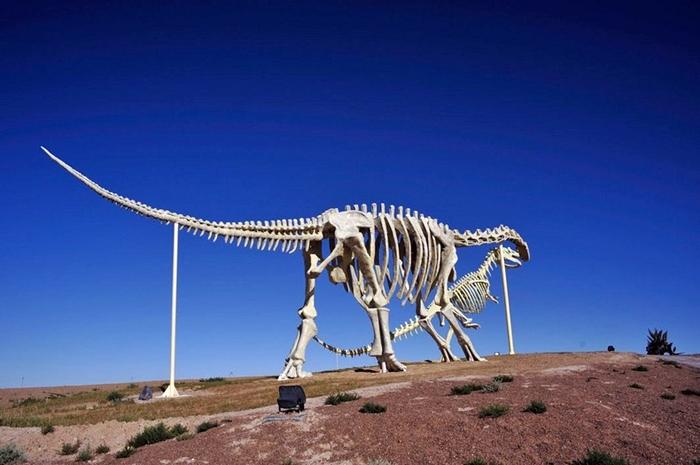 The Kissing Dinosaurs of Erenhot in China North of China on the Sino-Mongolian border, near the town of Erenhot (also known as Erlian), you will find the statues of two towering Brontosauruses. The two dinosaurs are located on either side of the main highway, their long necks stretching to the other, until the two dinosaur's mouth meet as if to share a kiss. Each dinosaur statue is 34 meters wide and 19 meters high. The span of the two together reaches 80 meters. The ground near the kissing couple is littered with many dozen smaller statues of dinosaurs of all shapes and sizes.