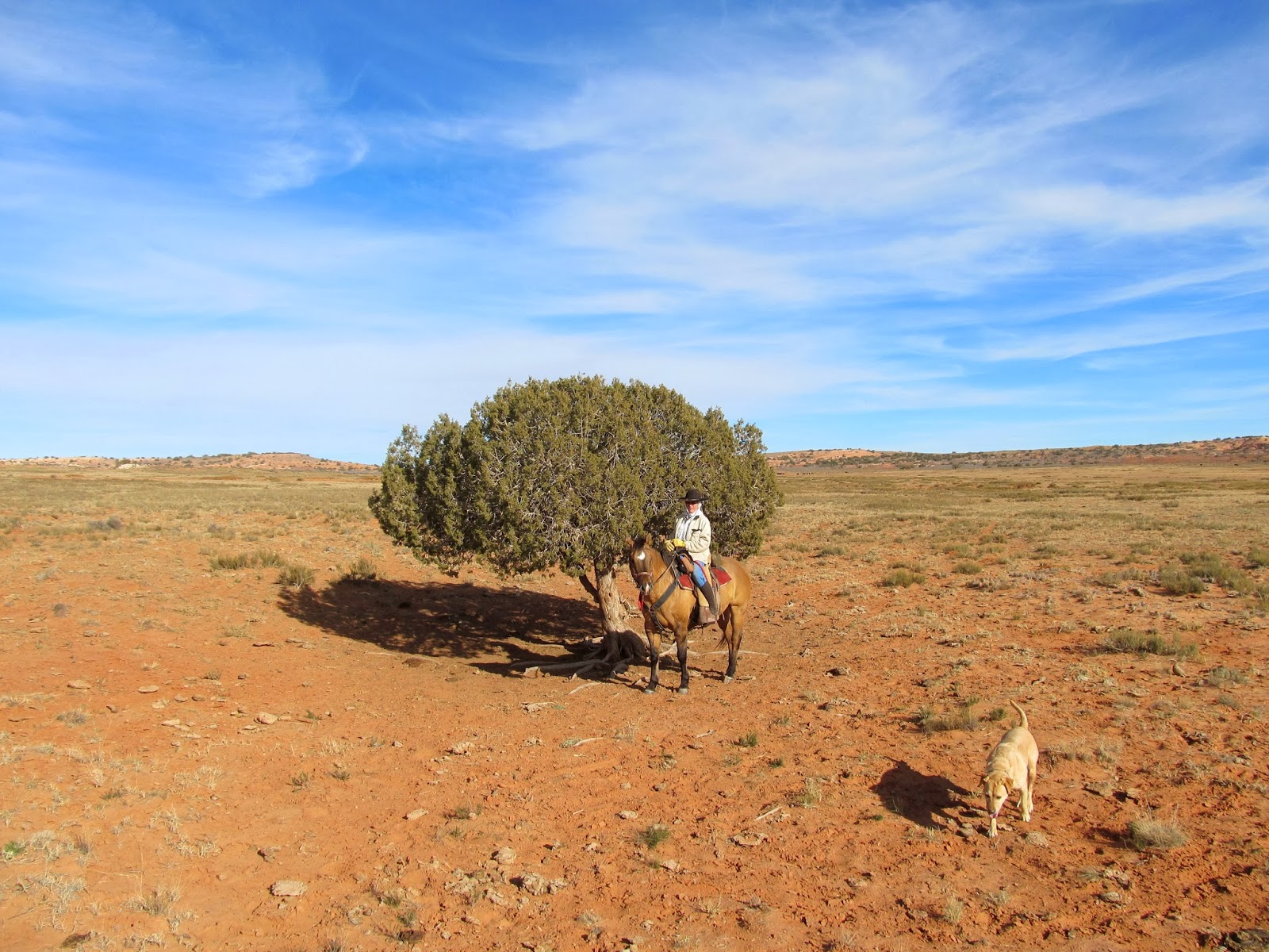 Janie and Steve, Utah Trails Robber's Roost Country