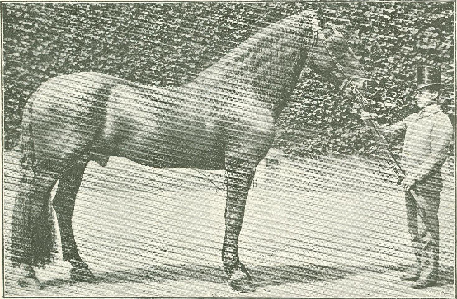 State Coach Britannia