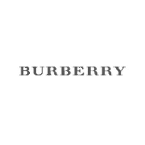 Everything About All Logos: Burberry Logo Pictures