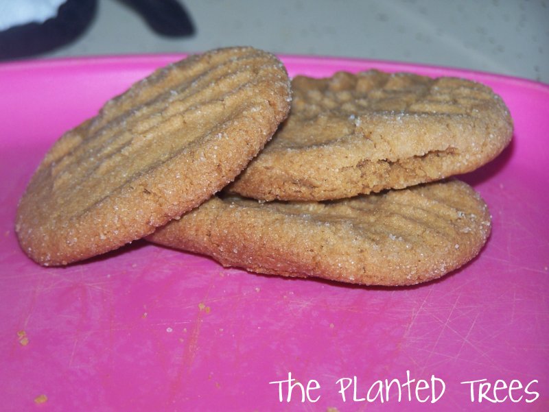 The Planted Trees Tasty Tuesday The Easiest Cookie Recipe EVER!
