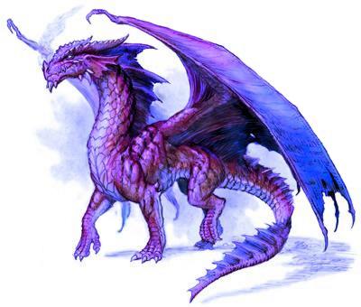 Beautiful Dragon Pictures