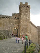 Castello di Montalcino