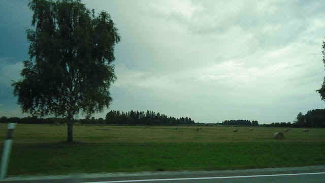 camino-de-Tartu