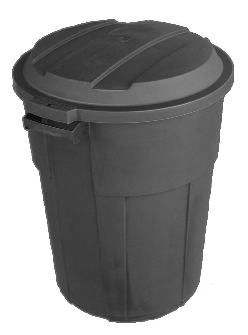 Suburban Backyard Farm March 2013