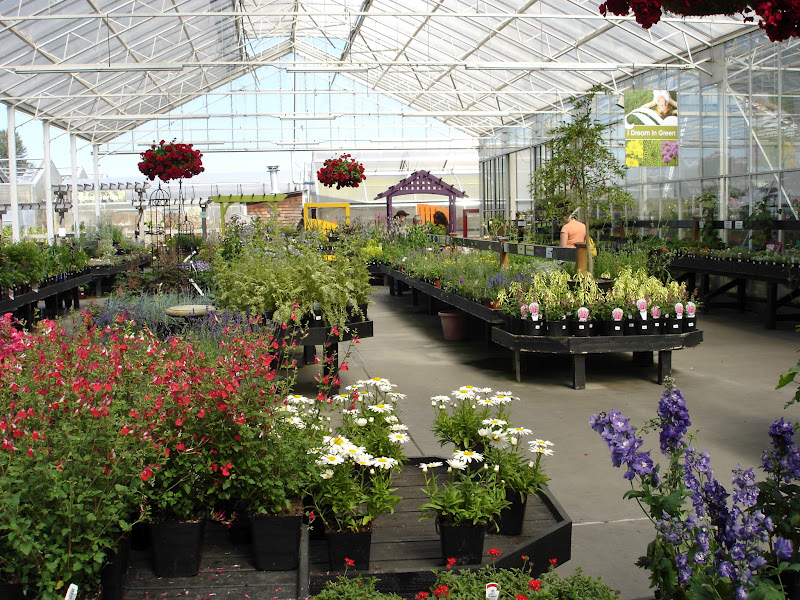 The Outlaw Gardener Watson's Nursery Tent Sale