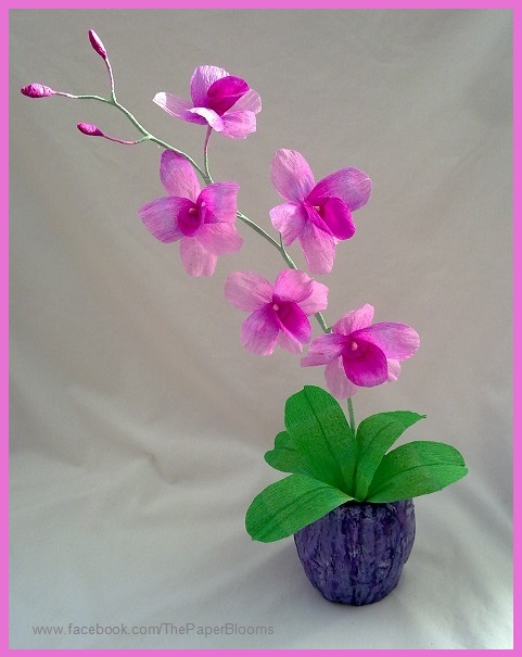 crafty little beanut crepe paper orchid paper orchid flower