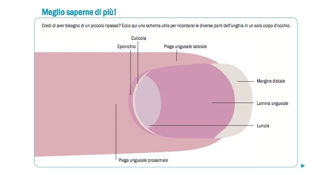 Le gambe da un fungo prudono che fare