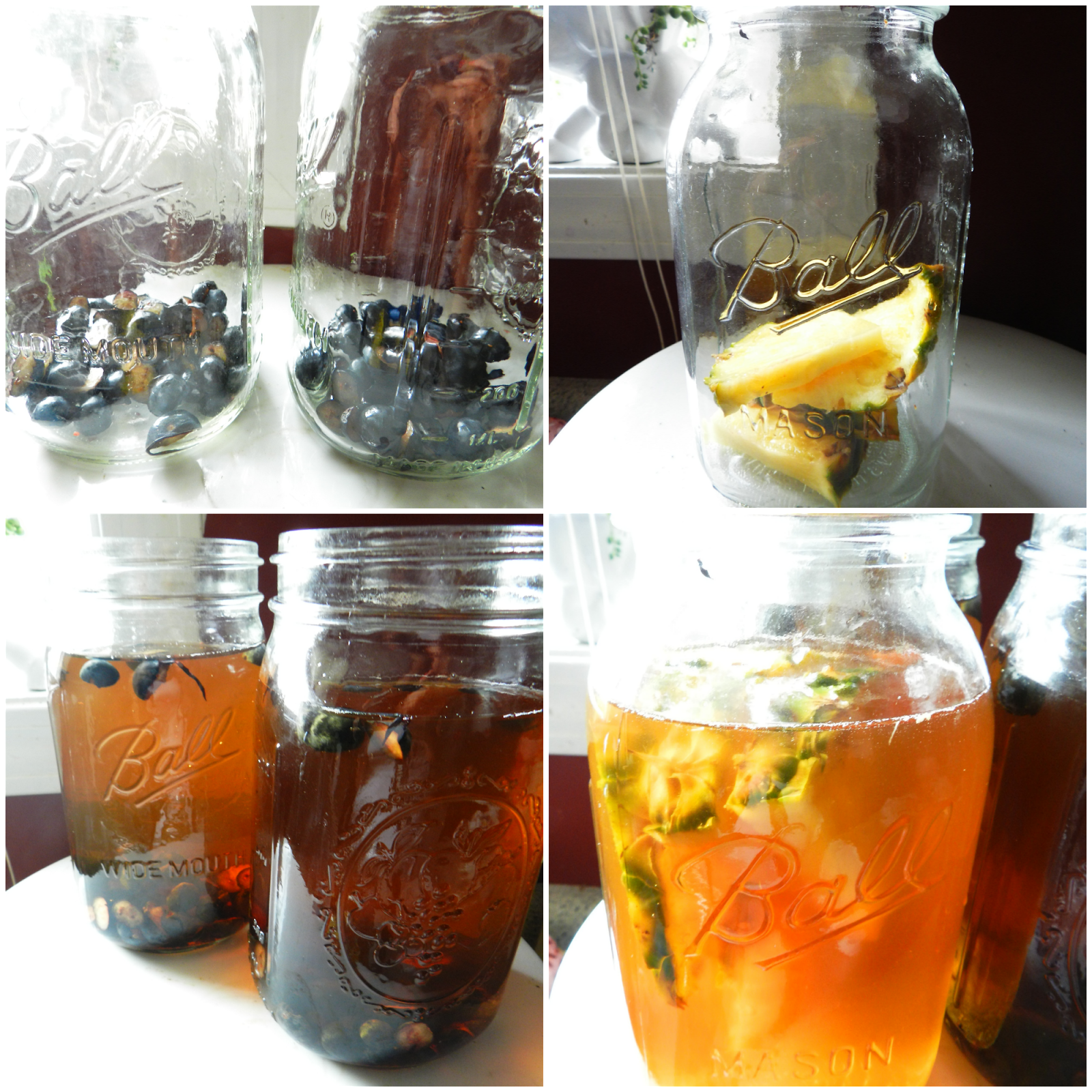 Homegrown State of Mind Kombucha Basics A Beginner's Guide