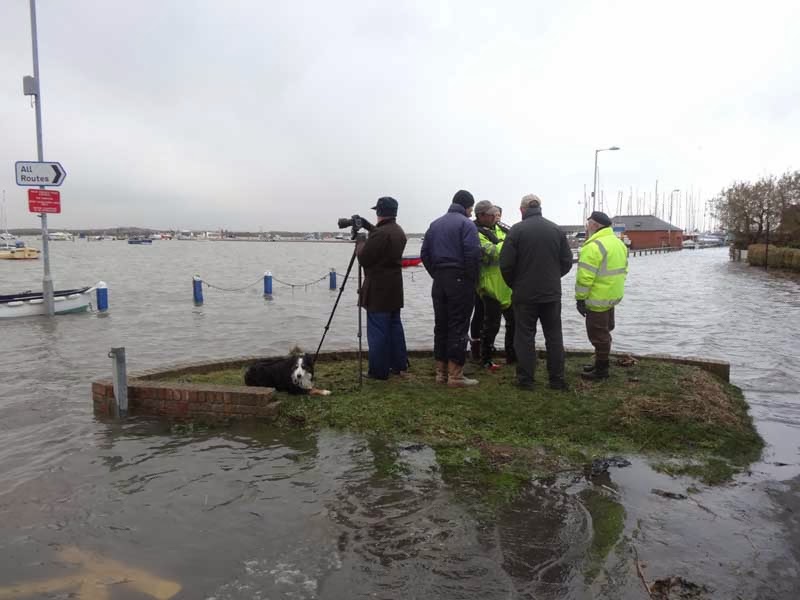 MERSEA WILDLIFE SURGE TIDE SIEGE