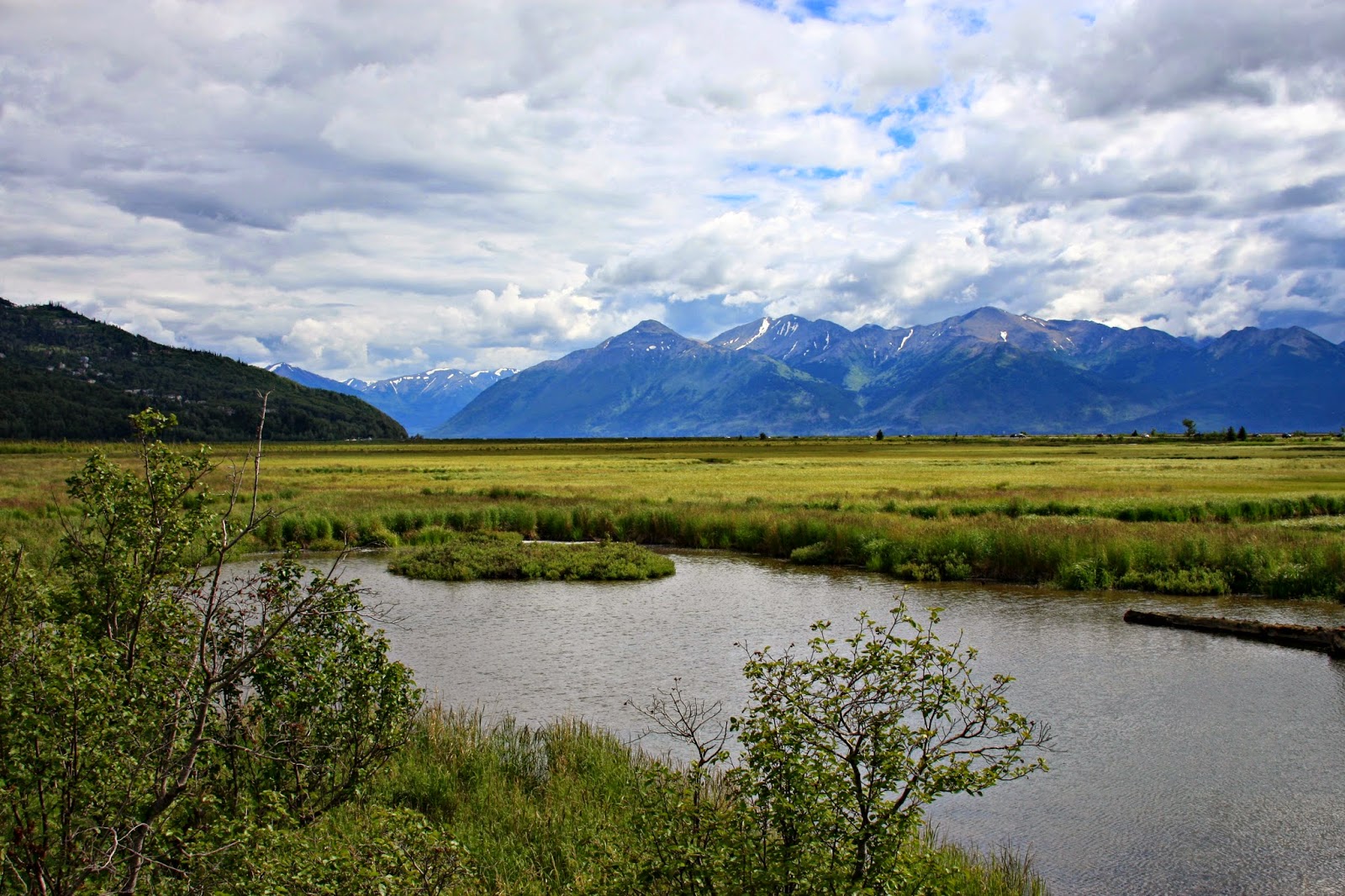 Life Through My Lens Potter's Marsh