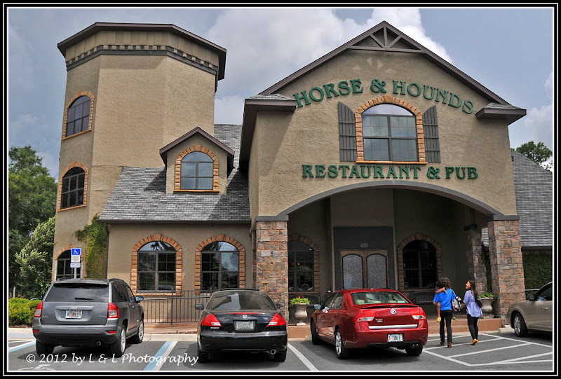 Ocala, Central Florida & Beyond Horse & Hounds