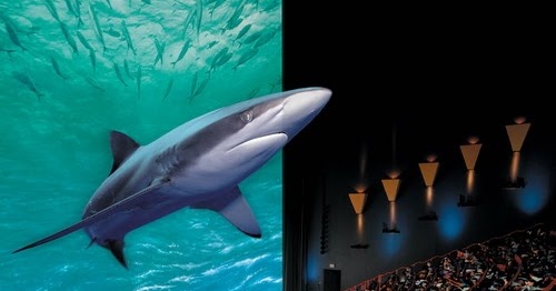 4d theater near me 4d theater near me