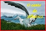 O conto do Albatroz