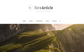 Sora Article