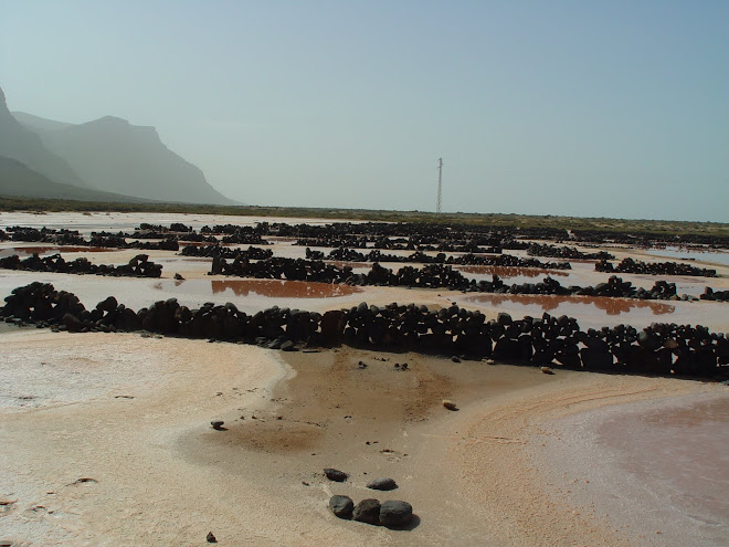 Famara