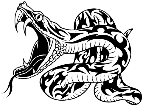 Snakes Designs