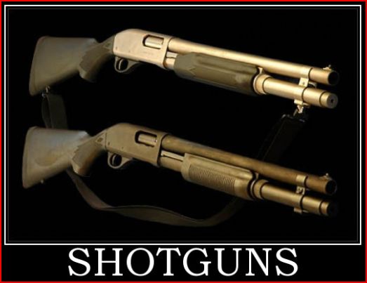 animals with guns shooting. smoothbore gun for firing