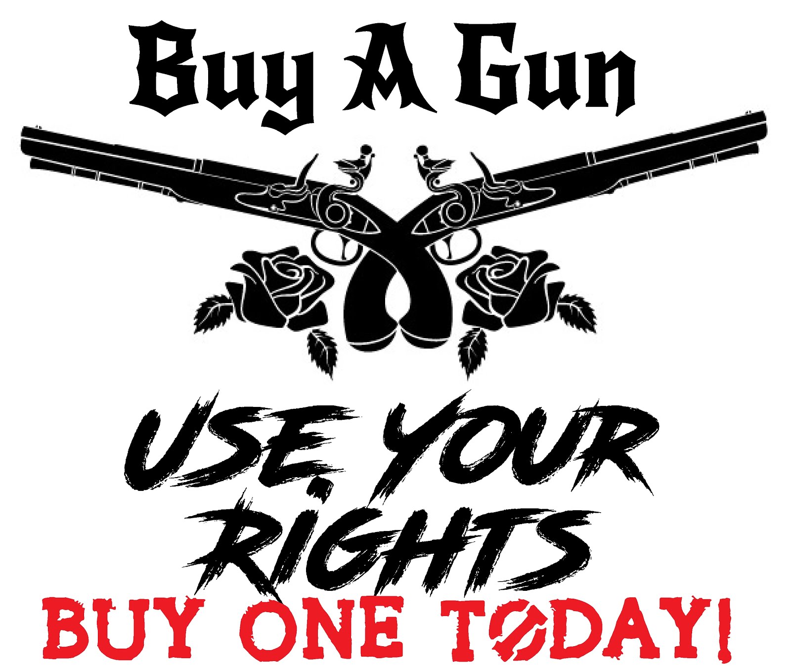 Everyone Should Own Guns!