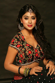 Shriya_Saran_Telugu-Hot_Actress Shriya_Saran_Telugu-Hot_Actress
