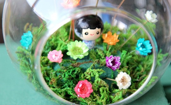 [Image: Hoa-cuc-nhiet-doi-10-nam-khong-tan-hut-k...-Gon-8.jpg]