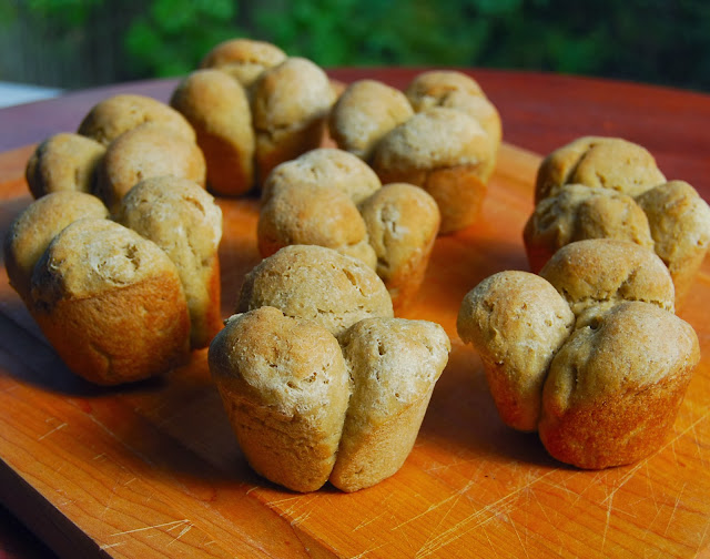 Gluten Free Multigrain Rolls • Holy Cow! Vegan Recipes