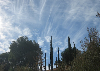 Puffs and streaks of white clouds in a blue sky above the trees