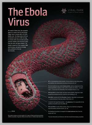  Poster «The Ebola Virus»