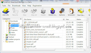 Idm Avec Patch