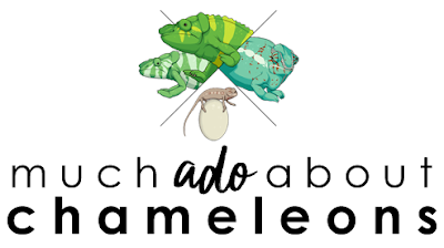 Much Ado About Chameleons