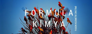  FORMULA KİMYA