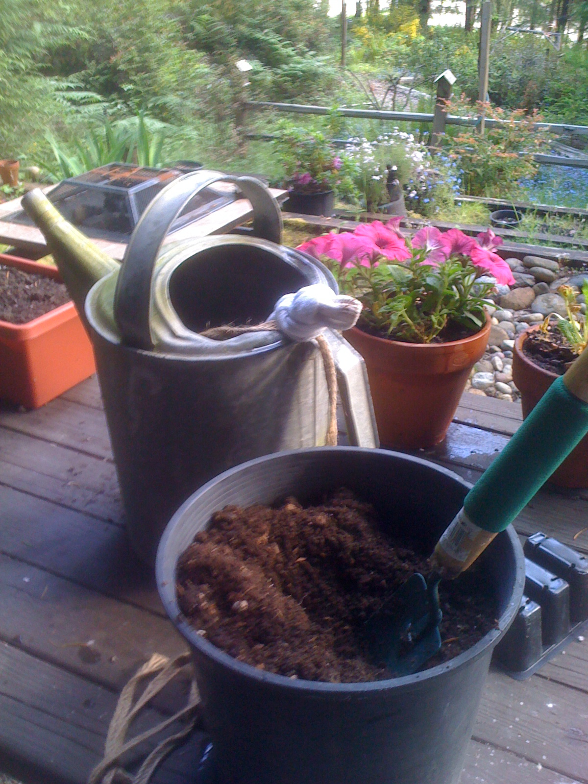 Hydroponics Blog: Healthier Food: Making Worm Tea - Delivering 