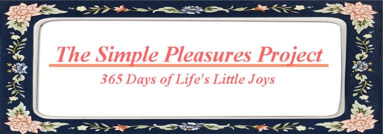 The Simple Pleasures Project