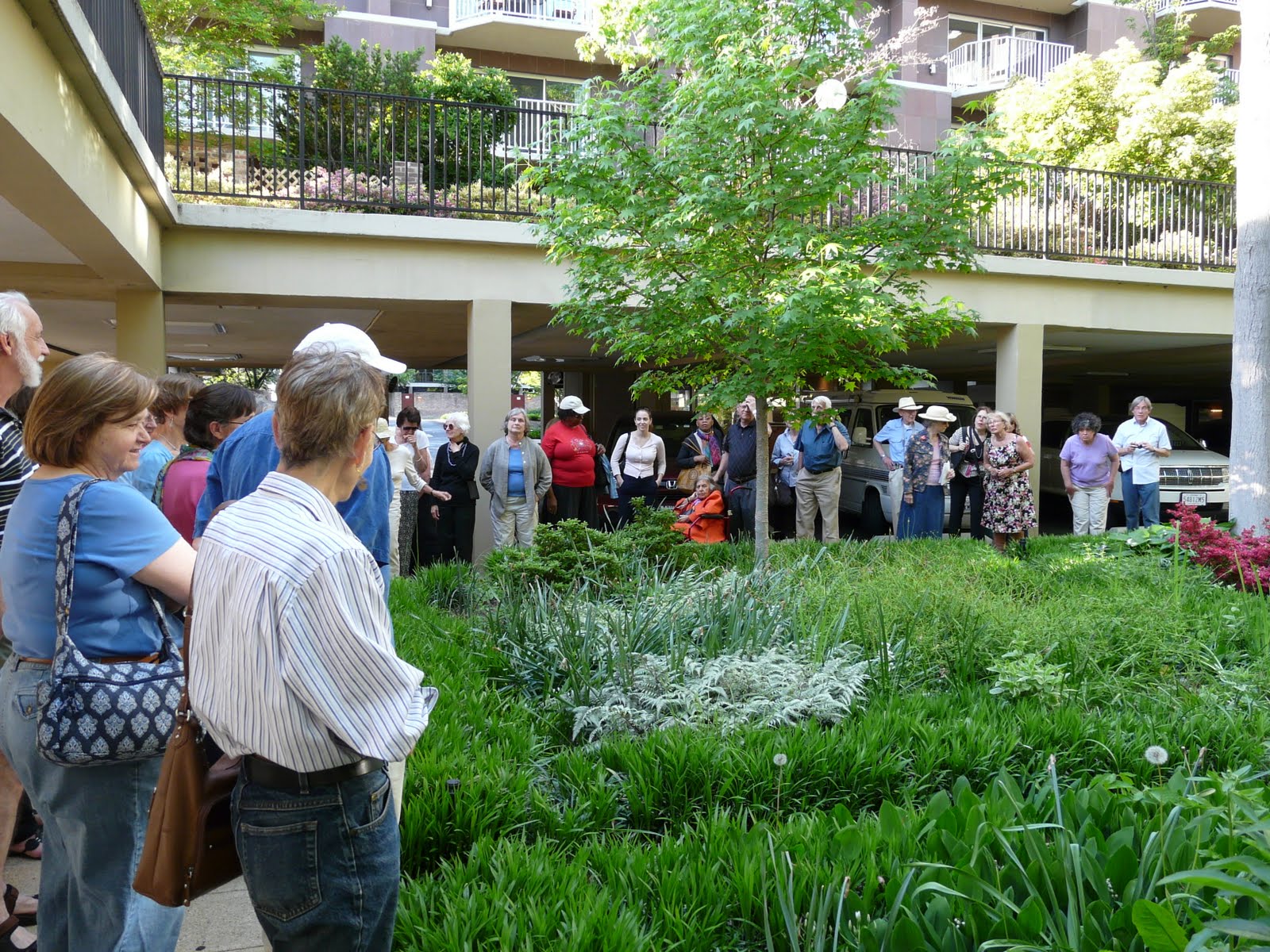 Capitol Hill Garden Club Magical May Walk at Harbour Square