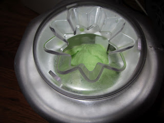 Garden Mint Chocolate Chip Ice Cream | Bobbins of Basil