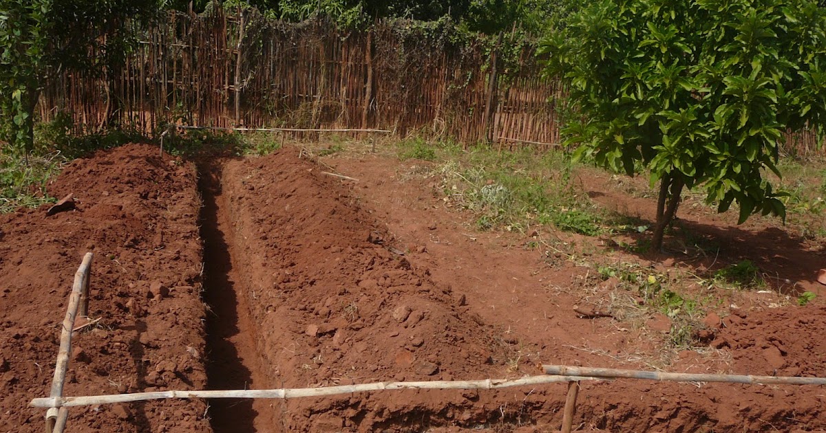 Diocese de Gurúè Alto Molócuè Renovação material e pastoral. 1ª Pedra